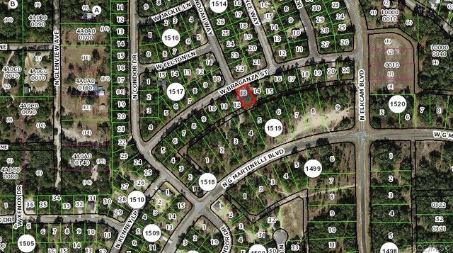 2596 W Braganza Street, Dunnellon, FL 34433