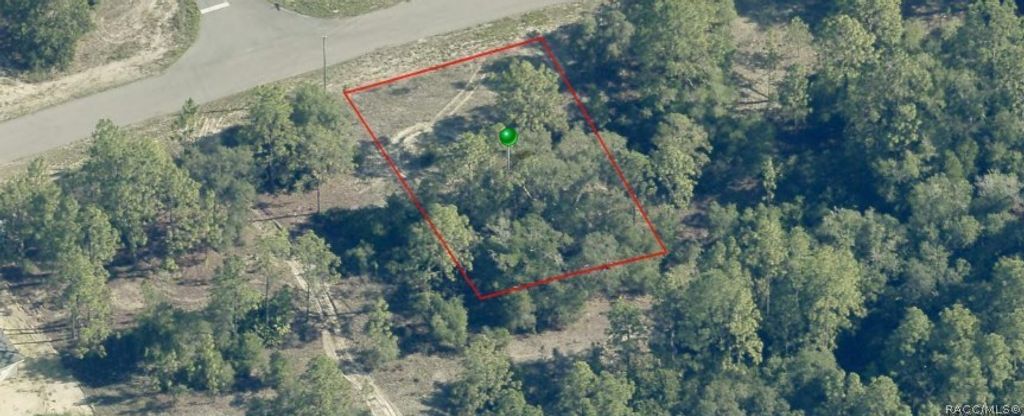 2596 W Braganza Street, Dunnellon, FL 34433