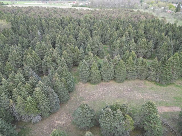 20803 Grandville Road 213, Big Rapids, MI 49307