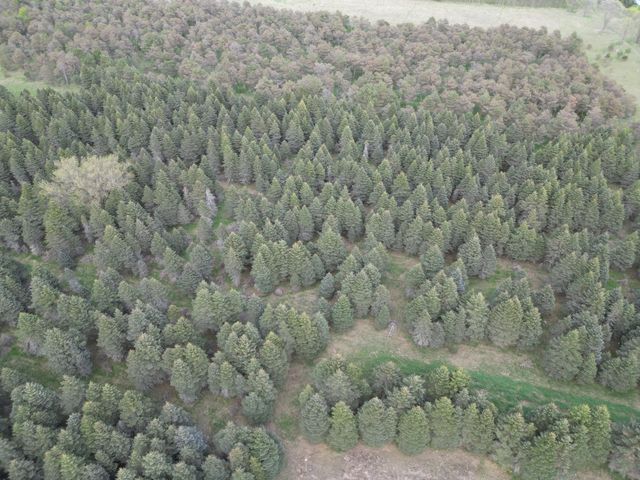 20803 Grandville Road 213, Big Rapids, MI 49307