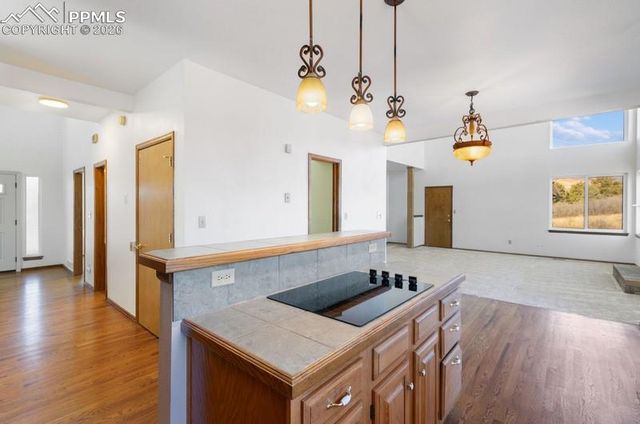 1165 Golden Hills Road, Colorado Springs, CO 80919