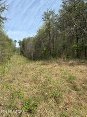 Citico Rd, Vonore, TN 37885