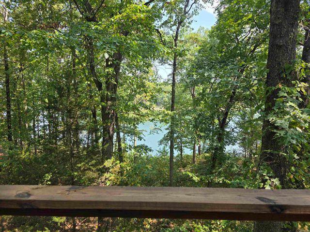 1000 Twin Coves Circle, Greers Ferry, AR 72067