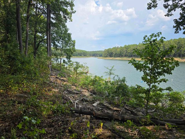 1000 Twin Coves Circle, Greers Ferry, AR 72067
