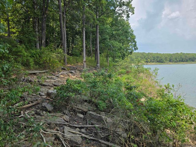 1000 Twin Coves Circle, Greers Ferry, AR 72067