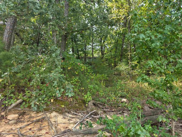 1000 Twin Coves Circle, Greers Ferry, AR 72067