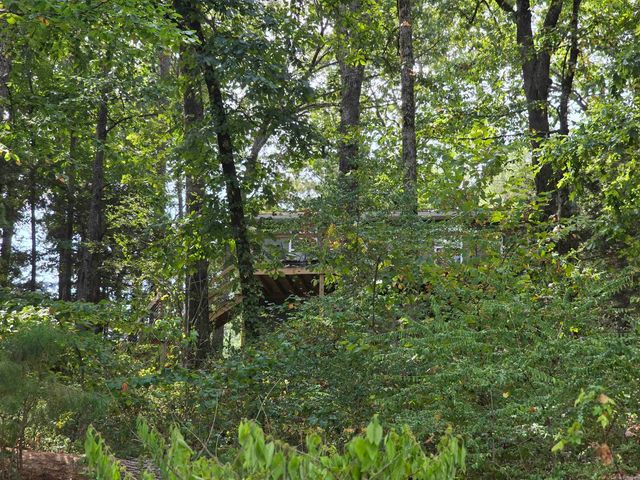 1000 Twin Coves Circle, Greers Ferry, AR 72067