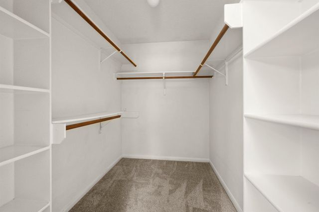 1243 Willow Branch, League City, TX 77573