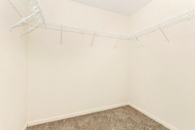 22039 Ellison Drive, Magnolia, TX 77355