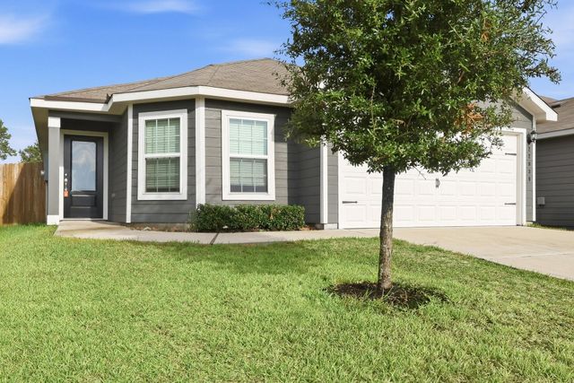 22039 Ellison Drive, Magnolia, TX 77355