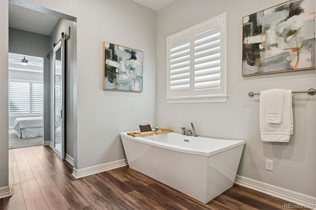 532 Woodroot Circle, Castle Rock, CO 80104