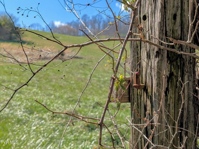 1421 Bishoptown Road, Duffield, VA 24244