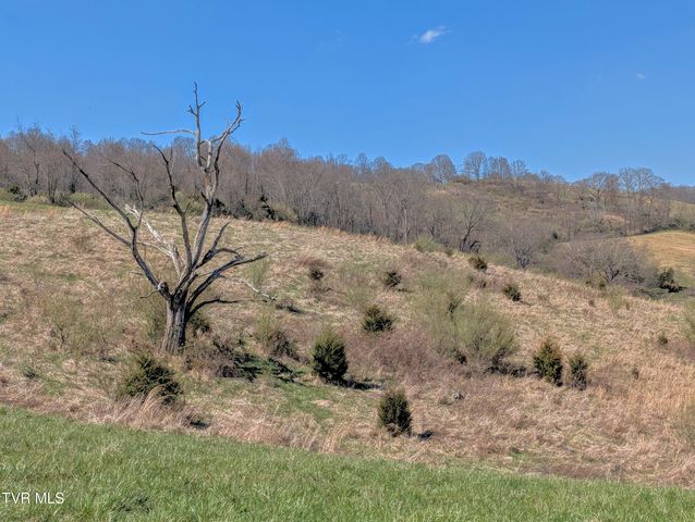 1421 Bishoptown Road, Duffield, VA 24244