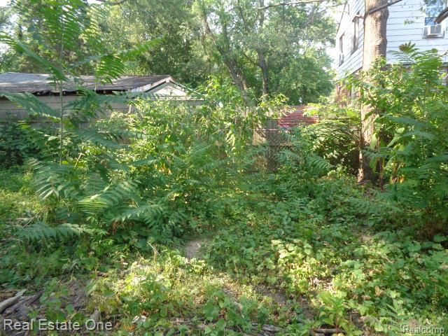 19417 Grandview Street, Detroit, MI 48219