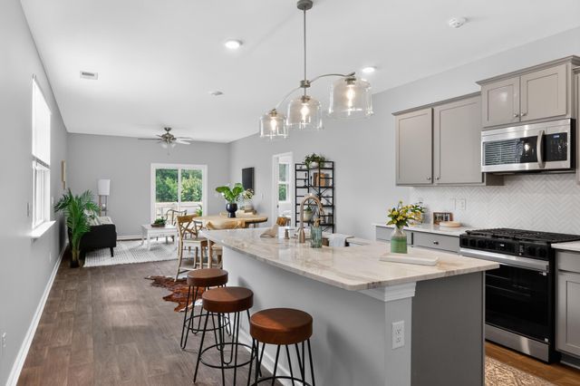 227 N Light Way, Summerville, SC 29486