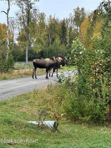 32936 Dans Court, Soldotna, AK 99669