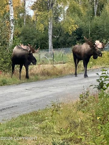 32936 Dans Court, Soldotna, AK 99669