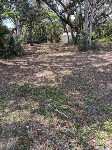 17195 SE 70TH STREET, Ocklawaha, FL 32179
