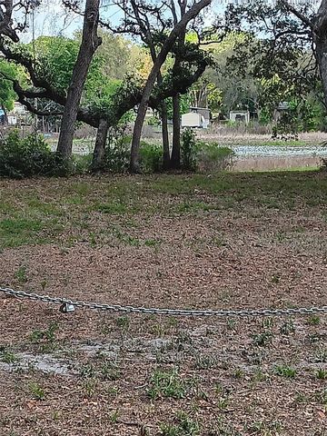 17195 SE 70TH STREET, Ocklawaha, FL 32179