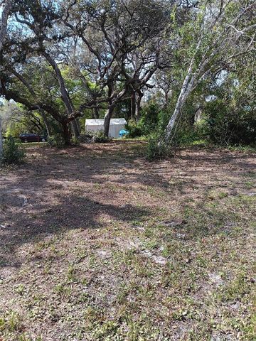 17195 SE 70TH STREET, Ocklawaha, FL 32179