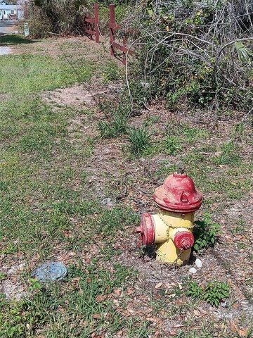 17195 SE 70TH STREET, Ocklawaha, FL 32179