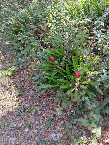 17195 SE 70TH STREET, Ocklawaha, FL 32179