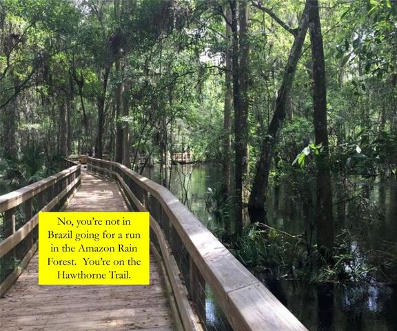 835 SW 9TH STREET 201, Gainesville, FL 32601