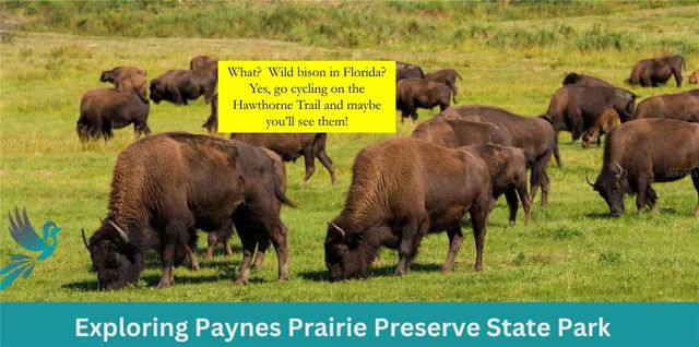 835 SW 9TH STREET 201, Gainesville, FL 32601