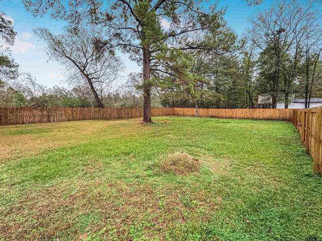 10973 CR 2250, Tyler, TX 75707