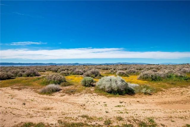 0 Avenue C-8, Antelope Acres, CA 93536