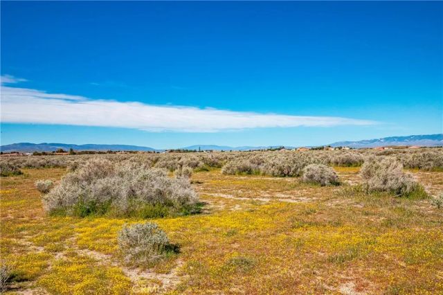 0 Avenue C-8, Antelope Acres, CA 93536