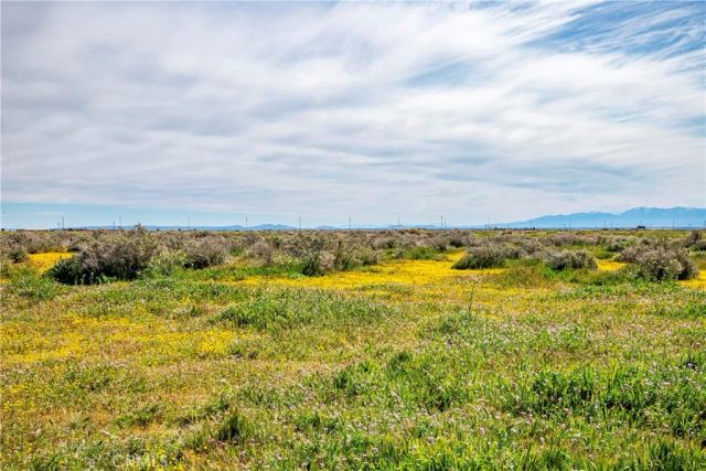 0 Avenue C-8, Antelope Acres, CA 93536