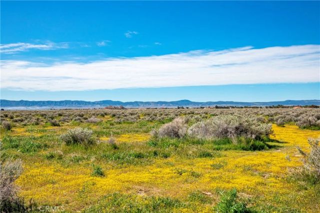 0 Avenue C-8, Antelope Acres, CA 93536