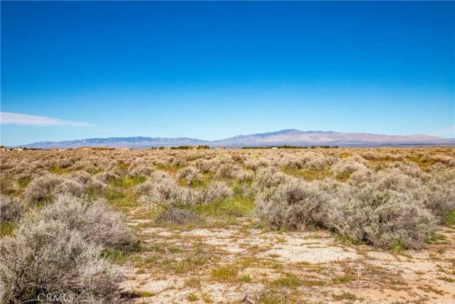 0 Avenue C-8, Antelope Acres, CA 93536