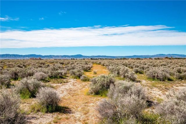 0 Avenue C-8, Antelope Acres, CA 93536