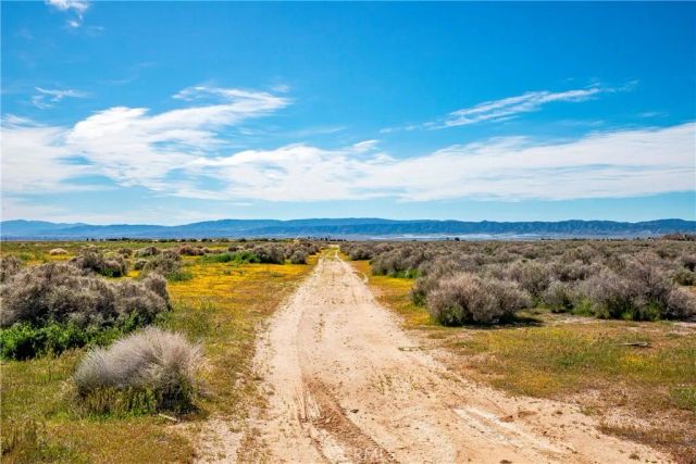 0 Avenue C-8, Antelope Acres, CA 93536