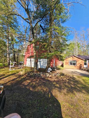 7243 East Drive, South Branch, MI 48761