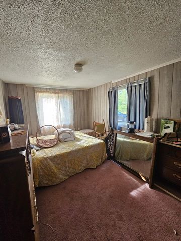 7243 East Drive, South Branch, MI 48761