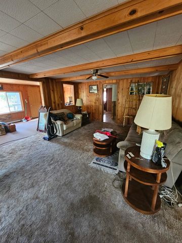 7243 East Drive, South Branch, MI 48761