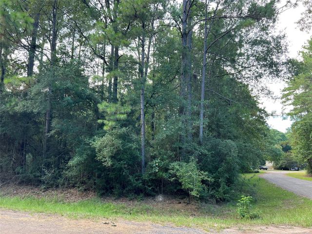 TBD White Poplar Drive, Village Mills, TX 77663