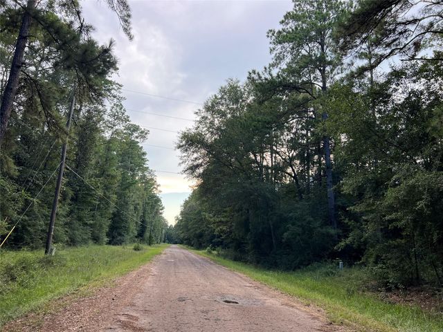 TBD White Poplar Drive, Village Mills, TX 77663