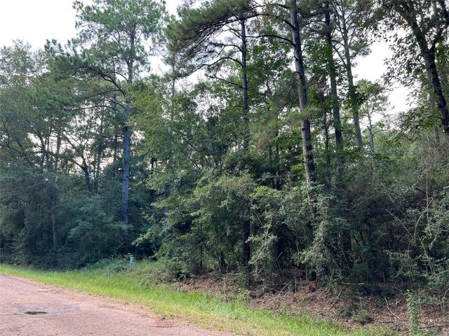 TBD White Poplar Drive, Village Mills, TX 77663
