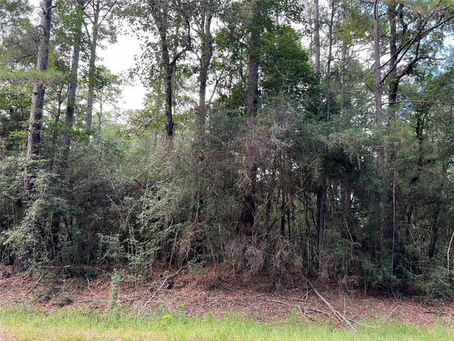 TBD White Poplar Drive, Village Mills, TX 77663