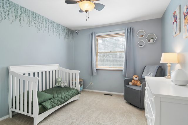 1032 W Park Place Drive, Bartlett, IL 60103