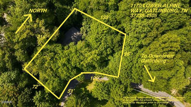 1170 Lower Alpine Way, Gatlinburg, TN 37738