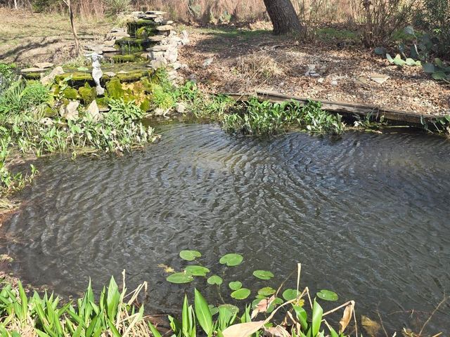 137 Hill Dr DR, Granite Shoals, TX 78654