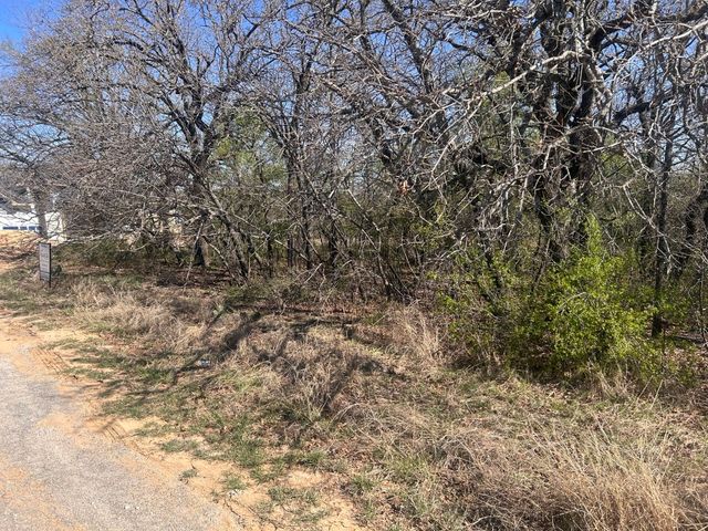 TBD Palmetto Court 2, Runaway Bay, TX 76426