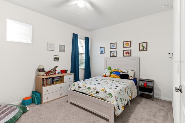 2527 NATOMA BOULEVARD, Mount Dora, FL 32757