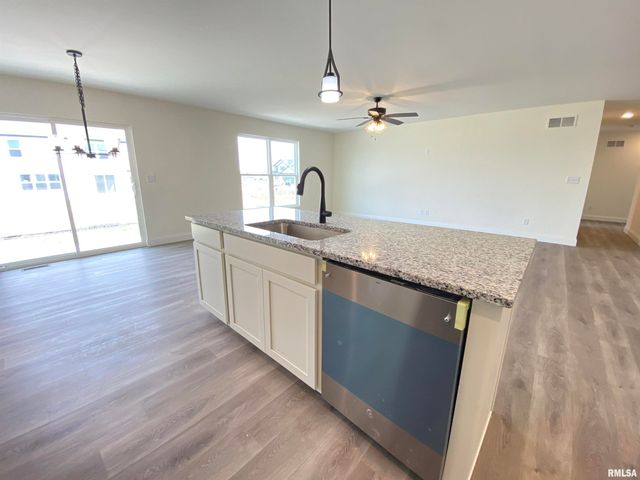 313 Hawks Nest Drive, Chatham, IL 62629