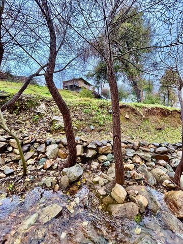 11028 Wingfield Lane, Shasta, CA 96087